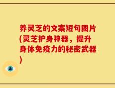 养灵芝的文案短句图片(灵芝护身神器，提升身体免疫力的秘密武器)
