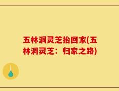 五林洞灵芝抬回家(五林洞灵芝：归家之路)