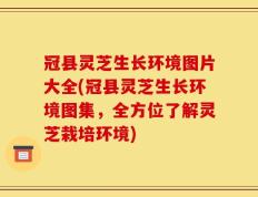冠县灵芝生长环境图片大全(冠县灵芝生长环境图集，全方位了解灵芝栽培环境)