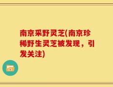 南京采野灵芝(南京珍稀野生灵芝被发现，引发关注)