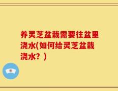 养灵芝盆栽需要往盆里浇水(如何给灵芝盆栽浇水？)