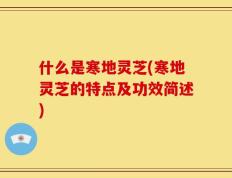 什么是寒地灵芝(寒地灵芝的特点及功效简述)