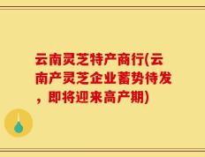 云南灵芝特产商行(云南产灵芝企业蓄势待发，即将迎来高产期)