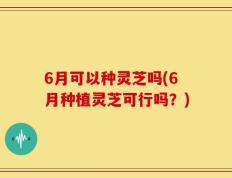 6月可以种灵芝吗(6月种植灵芝可行吗？)