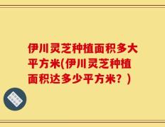 伊川灵芝种植面积多大平方米(伊川灵芝种植面积达多少平方米？)
