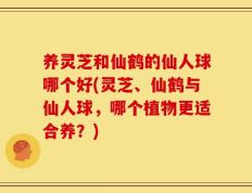 养灵芝和仙鹤的仙人球哪个好(灵芝、仙鹤与仙人球，哪个植物更适合养？)