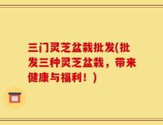 三门灵芝盆栽批发(批发三种灵芝盆栽，带来健康与福利！)