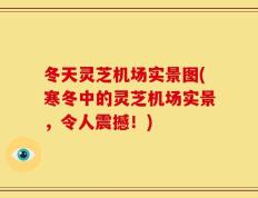 冬天灵芝机场实景图(寒冬中的灵芝机场实景，令人震撼！)