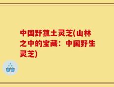 中国野菰土灵芝(山林之中的宝藏：中国野生灵芝)