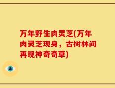 万年野生肉灵芝(万年肉灵芝现身，古树林间再现神奇奇草)