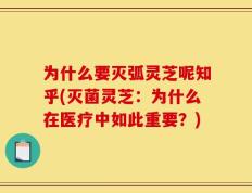 为什么要灭弧灵芝呢知乎(灭菌灵芝：为什么在医疗中如此重要？)