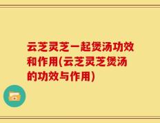 云芝灵芝一起煲汤功效和作用(云芝灵芝煲汤的功效与作用)