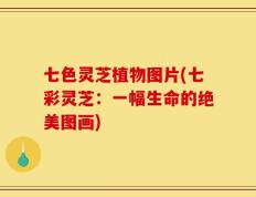 七色灵芝植物图片(七彩灵芝：一幅生命的绝美图画)