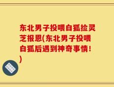 东北男子投喂白狐捡灵芝报恩(东北男子投喂白狐后遇到神奇事情！)