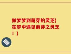 做梦梦到萌芽的灵芝(在梦中遇见萌芽之灵芝！)