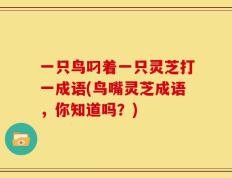 一只鸟叼着一只灵芝打一成语(鸟嘴灵芝成语，你知道吗？)