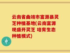 云南省曲靖市富源县灵芝种植基地(云南富源现盛开灵芝 培育生态种植模式)