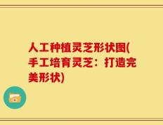 人工种植灵芝形状图(手工培育灵芝：打造完美形状)
