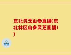 东北灵芝山参直播(东北林区山参灵芝直播！)