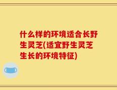 什么样的环境适合长野生灵芝(适宜野生灵芝生长的环境特征)