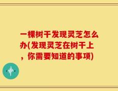 一棵树干发现灵芝怎么办(发现灵芝在树干上，你需要知道的事项)