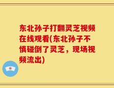 东北孙子打翻灵芝视频在线观看(东北孙子不慎碰倒了灵芝，现场视频流出)