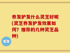 养发护发什么灵芝好呢(灵芝养发护发效果如何？推荐的几种灵芝品种)