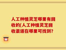 人工种植灵芝哪里有回收的(人工种植灵芝回收渠道在哪里可找到？
