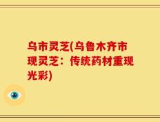 乌市灵芝(乌鲁木齐市现灵芝：传统药材重现光彩)