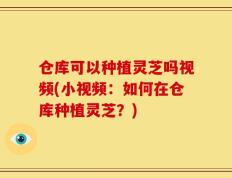 仓库可以种植灵芝吗视频(小视频：如何在仓库种植灵芝？)