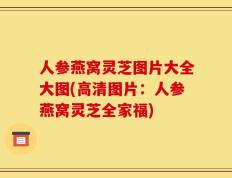 人参燕窝灵芝图片大全大图(高清图片：人参燕窝灵芝全家福)
