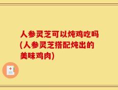 人参灵芝可以炖鸡吃吗(人参灵芝搭配炖出的美味鸡肉)