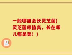 一般哪里会长灵芝菌(灵芝菌颜值高，长在哪儿都是美！)