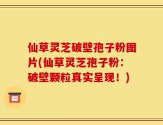 仙草灵芝破壁孢子粉图片(仙草灵芝孢子粉：破壁颗粒真实呈现！)