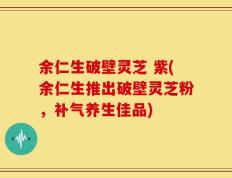 余仁生破壁灵芝 紫(余仁生推出破壁灵芝粉，补气养生佳品)