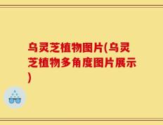 乌灵芝植物图片(乌灵芝植物多角度图片展示)