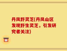 丹凤野灵芝(丹凤山区发现野生灵芝，引发研究者关注)