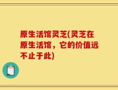 原生活馆灵芝(灵芝在原生活馆，它的价值远不止于此)