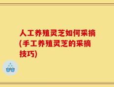 人工养殖灵芝如何采摘(手工养殖灵芝的采摘技巧)