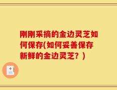 刚刚采摘的金边灵芝如何保存(如何妥善保存新鲜的金边灵芝？)