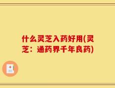什么灵芝入药好用(灵芝：通药界千年良药)