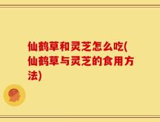 仙鹤草和灵芝怎么吃(仙鹤草与灵芝的食用方法)