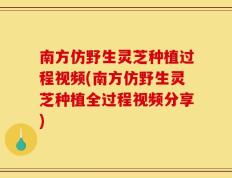 南方仿野生灵芝种植过程视频(南方仿野生灵芝种植全过程视频分享)