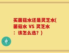 买菌菇水还是灵芝水(菌菇水 VS 灵芝水：该怎么选？)