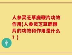 人参灵芝草鹿鞭片功效作用(人参灵芝草鹿鞭片的功效和作用是什么？)