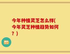 今年种植灵芝怎么样(今年灵芝种植趋势如何？)