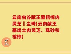 云南虫谷献王墓棺椁肉灵芝雮尘珠(云南献王墓出土肉灵芝、珠砂和棺椁)