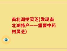 南北湖挖灵芝(发现南北湖特产——重要中药材灵芝)