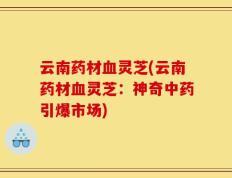 云南药材血灵芝(云南药材血灵芝：神奇中药引爆市场)