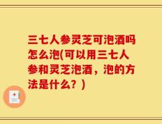 三七人参灵芝可泡酒吗怎么泡(可以用三七人参和灵芝泡酒，泡的方法是什么？)